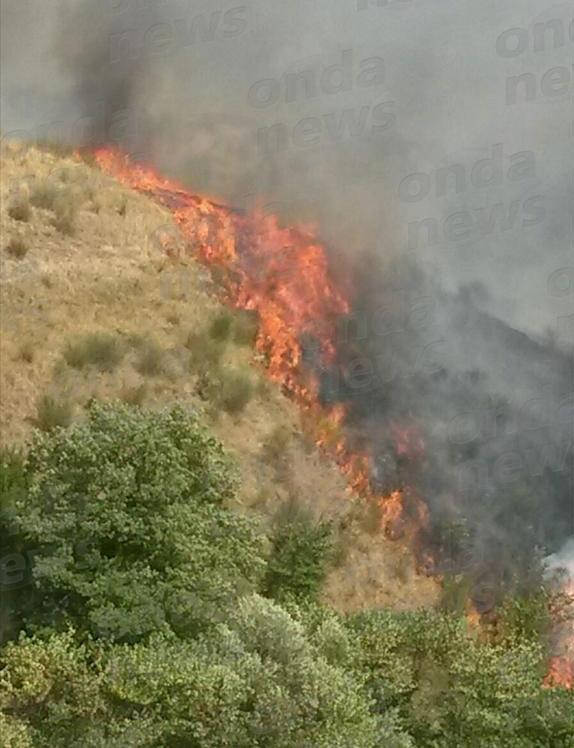 Buccino: vasto incendio in località Pisciarelli manda in fumo 10 ettari ... - ondanews (Comunicati Stampa)