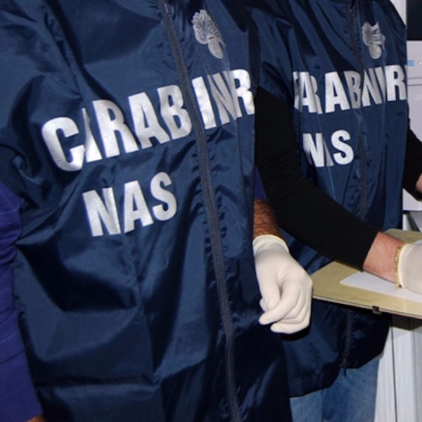 Controlli in allevamenti salernitani.A Sassano i NAS sequestrano 50 cani e il complesso che li custodiva