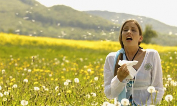 pollen-allergy