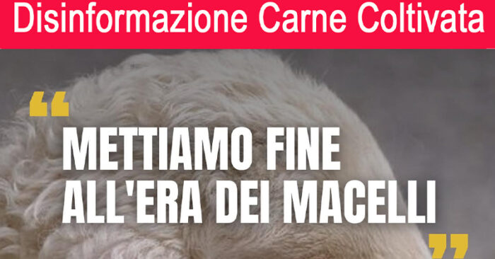 partito animalista - FB