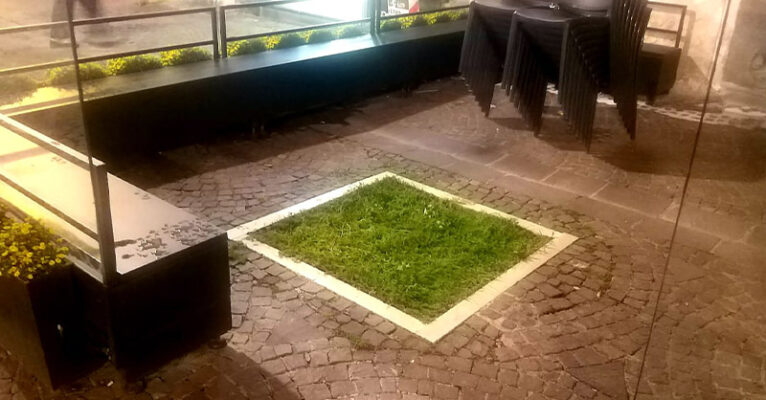 piantumazione-salerno-FB