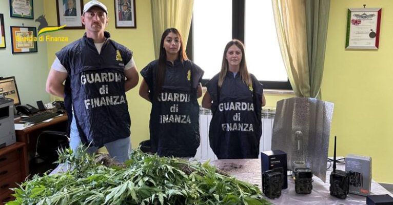 cannabis san rufo fb