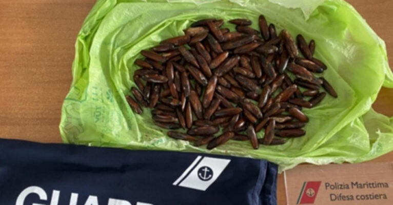 sequestro guardia costiera salerno FB