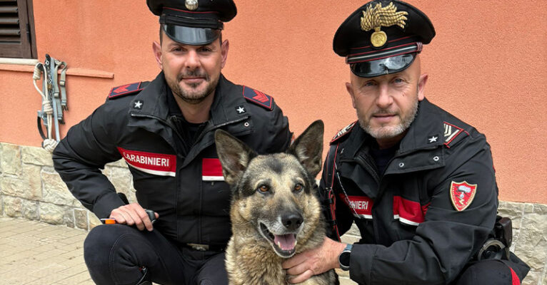 cane salvato potenza carabinieri