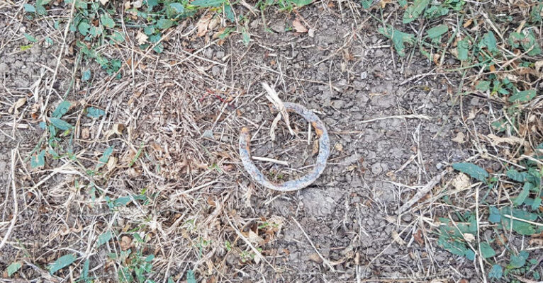 coccio-di-vetro-piaggine-parco-giochi-