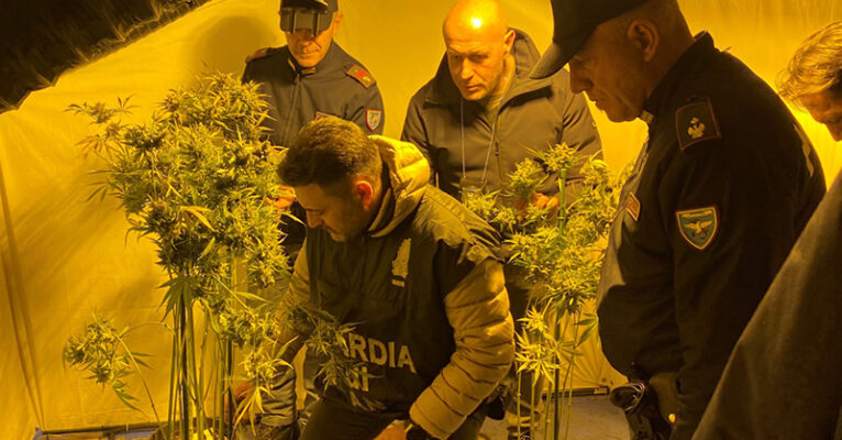 droga novembre 2024 fb