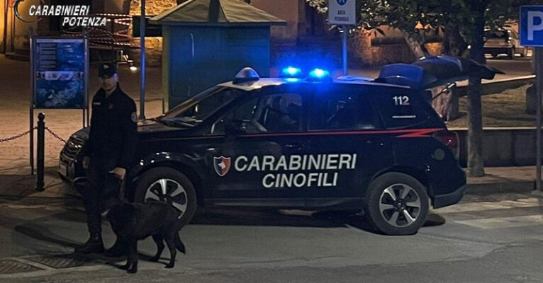 carabinieri cinofili tito potenza