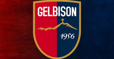 gelbison generica logo