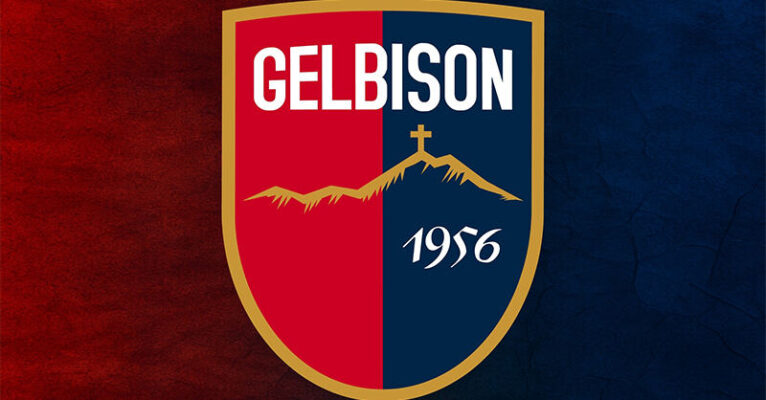 gelbison generica logo