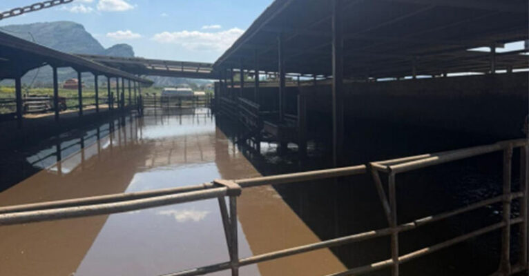 azienda bufalina- sequestro-capaccio-FB