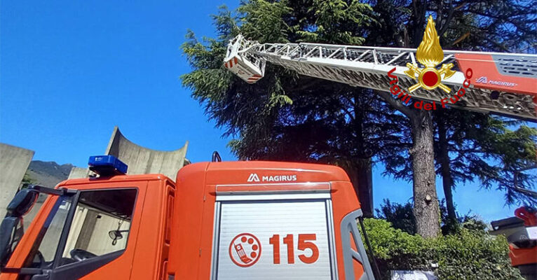 rami pericolanti salerno FB