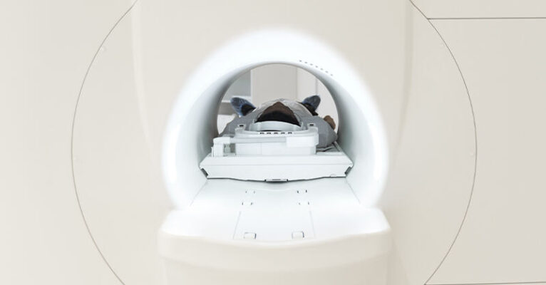 tac ospedale generica FB