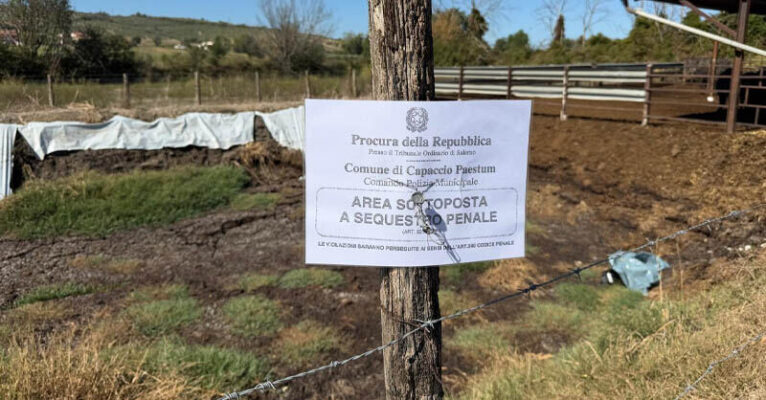 Capaccio_sequestro_azienda_agricola_zootecnicafb