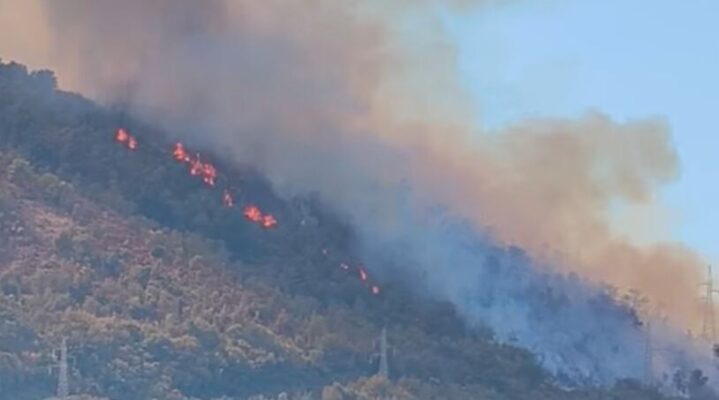Incendio petina 14 settembre 2026 fb