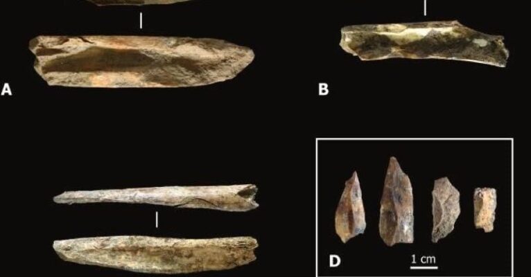 scavi archeologici marina di camerota fb