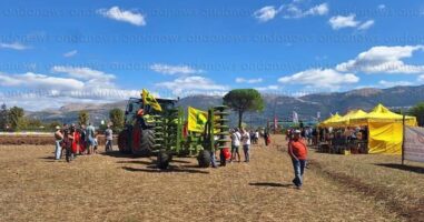 tractor master falcopneus 2026 fb