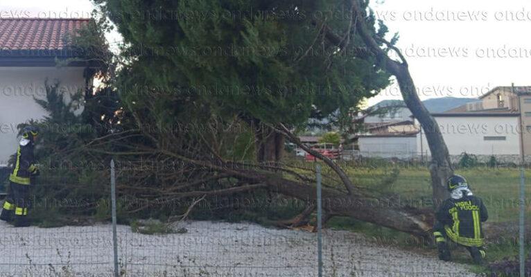 ALBERO CADUTO SALA CONSILINA 14 OTTOBRE 2026 FB