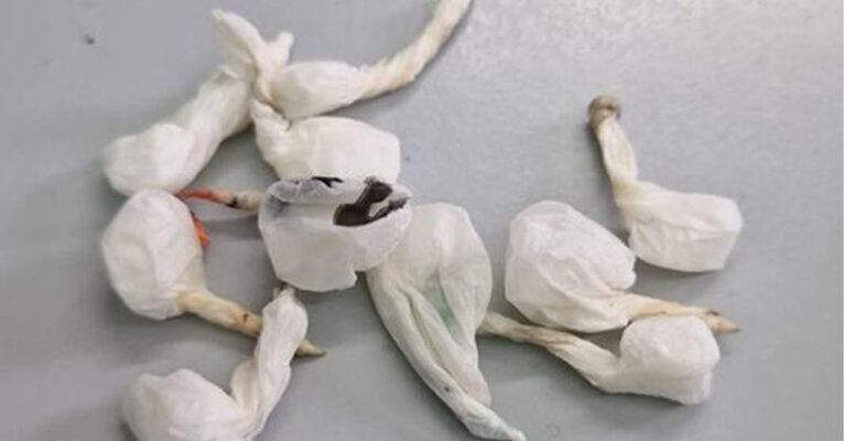 ARRESTO DROGA SALERNO 14 OTTOBRE 2026 FB