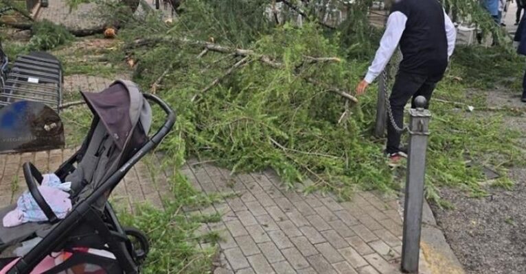 albero caduto a battipaglia 9 ottobre 2026 fb