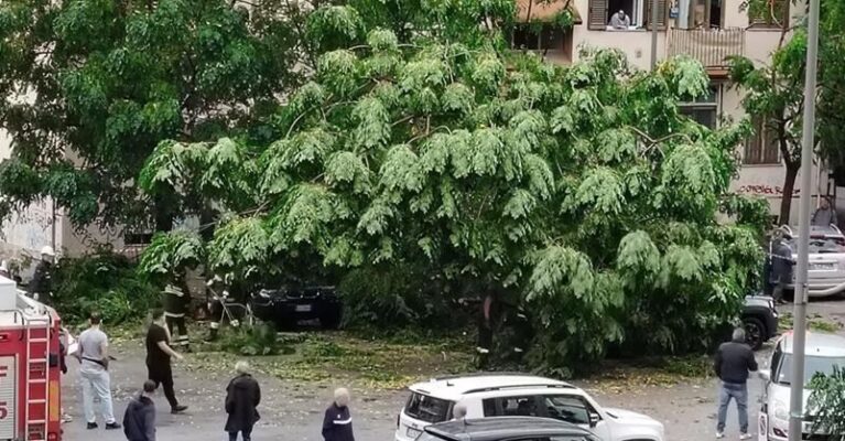 albero caduto salerno 10 ottobre 2026 fb